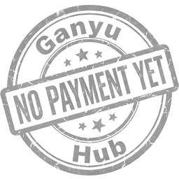 No payment yet
